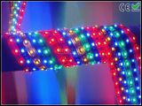 LED Strip RGB Flexible Rope Light in 12V