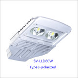 60W Bridgelux Chip High Quality LED Outdoor Light (Polarized)