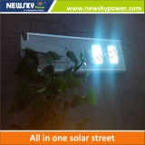 High Brightness 25W Solar LED Garden Light