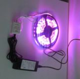 LED RGB Flexible Strip Light CE Approval
