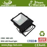 CE RoHS Approved Meanwell Driver 70W LED Garden Light