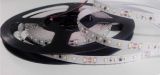 SMD3014 Concolorous Non-Waterproof 24V Constant-Current Flexible LED Strip Light