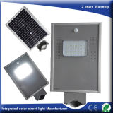 LED Integrated Solar Garden Light 6-80W