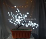 Blum Blossom Light (IL109026) 