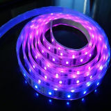 SMD5050 Dream Color LED Light Strips with Remote Controller