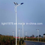 36W LED Lamp Solar Power Street Light Professional Design