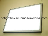 Ultra Slim Light Box with Frameless Fabric