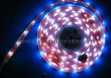 Flexible LED Strip Light (XLD-0142)