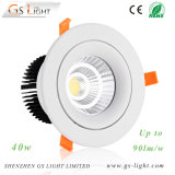 40W COB LED Down Light with Ies File