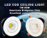 Samsung CREE Chip 4W COB LED Down Light/LED Ceiling (QD19-P04W-A1)