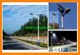 80W 6m Height Solar LED Street Light