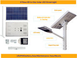 10-60W LED All-in-One Solar Pathway & Street Light