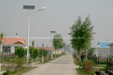 30W LED Solar Street Lights with 12V100ah Battery