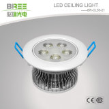 LED Ceiling Light 5W (BR-CL55-21)