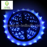 Strip LED Light (5m-5050-300SMD-blue)