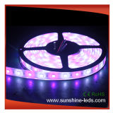 Waterproof Flexible SMD5060 RGB LED Strip Lights