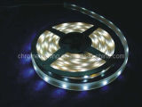 LED Strip Light, 5050 LED Strip Light, Super Brightness Strip Light, IP67