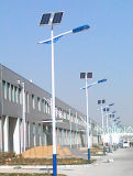 Popular 60W Solar LED Street Light