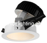 45W High Power LED Fixed/Tiltable Down Lights (R3B0386)