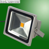 LED Outdoor Light 50W (220V/110V/12V/24V)