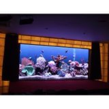 P6 Indoor Full-Color LED Display/Indoor Full-Color LED Display