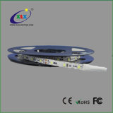 High Quality LED Strip Light, DC12V, 60LED/M
