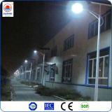 Sale LED Solar Street Light/LED Street Light in China Manufacturer