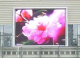 LED Display Board/P10 Outdoor Full-Color LED Display