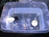 Underwater Indicator Liquid Cooled LED Globular Bulb 12V DC (B3W-CW-12-M)