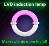 Energy Saving LED Plant Grow Lights