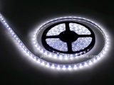 Outdoor Decoration 5m/Reel 12V DC 3528 SMD LED Strip Light with CE RoHS