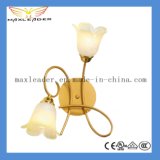 Quick Delivery Chandelier for 30 Days Only (MB089)