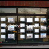 LED Window Display LED Real Estate Light Box