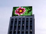 pH16mm LED Display for Outdoor Use