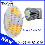30W Outdoor IP65 High Bay LED Light