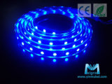 5050 SMD LED Strip Light With CE&RoHS