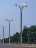 LED Project Street Light (SYH-44501)