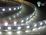 60/30LEDs LED Strip Light (TP-5050-60-W)