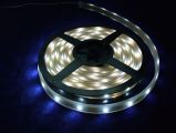 LED Strip Light /Flexible LED Strip (XDS-SWF010Y12-3528)