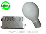 (SLG) Induction Lamp