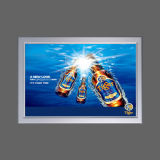 Beer Advertising Show LED Display Light Box
