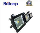 Saving Energy Motion Sensor LED Flood Light Widely Used (BLP-FL30W01-PIR)
