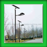 Solar LED Lights for Garden and Path