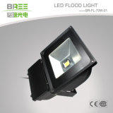 70W LED Flood Light (BR-FL-70W-01)