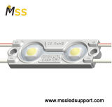 Injection molding LED Module/LED Module Light