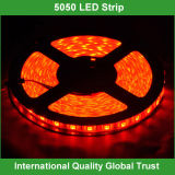12V Flexible 5050 SMD LED Strip Light