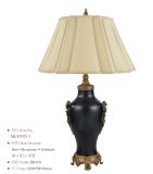 Table Lamp & Reading Light Indoor Lamps (Mgt1933-1)