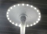 Solar LED Light Manufacturer in China, Solar LED Garden Light with Motion Sensor and Intelligent Controller Jr-Nm01