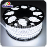 3528 SMD LED Strip Light with CE Waterproof for Holiday Decoration