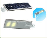 Solar Power LED Road Light with Solar Motion Sensor